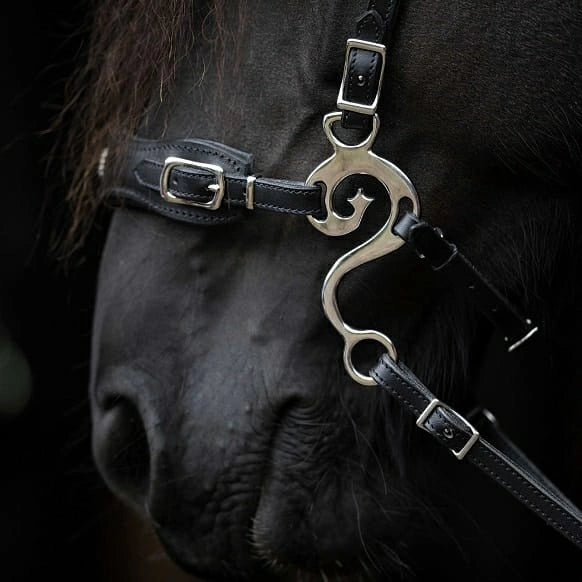 SAHIB Hackamore Shanks – Durable Horse Bridle Shanks for Hackamore Riding & Equestrian Training